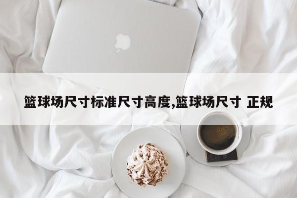 篮球场尺寸标准尺寸高度,篮球场尺寸 正规