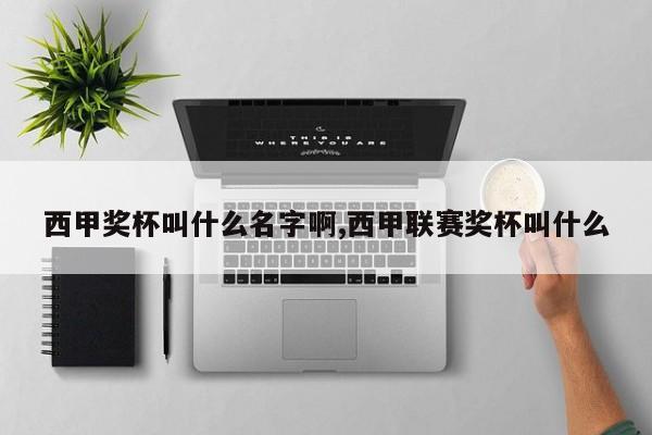 西甲奖杯叫什么名字啊,西甲联赛奖杯叫什么
