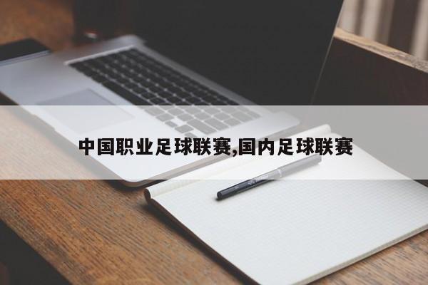 中国职业足球联赛,国内足球联赛