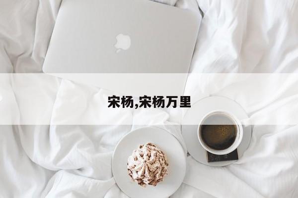 宋杨,宋杨万里