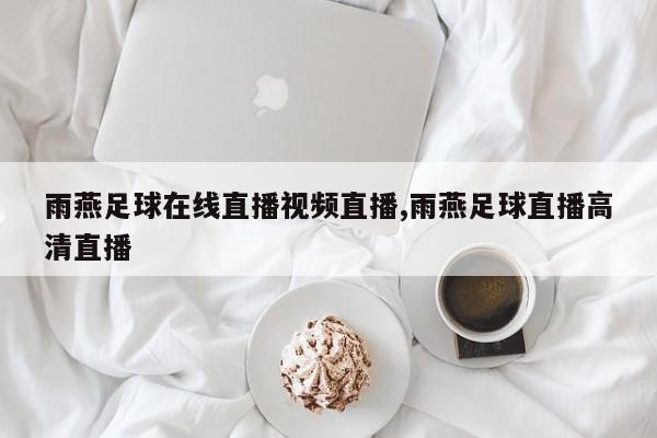 雨燕足球在线直播视频直播,雨燕足球直播高清直播
